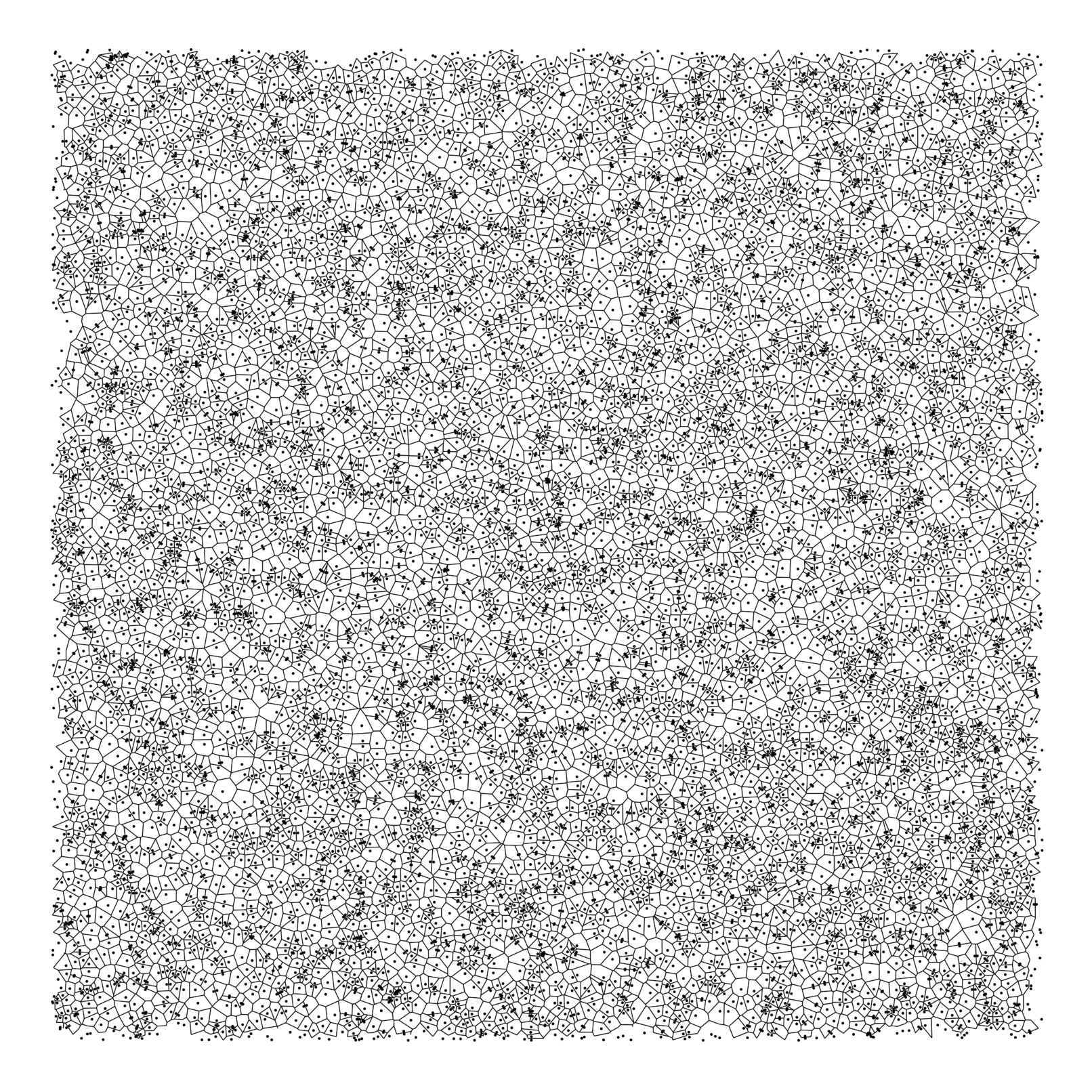 Voronoi